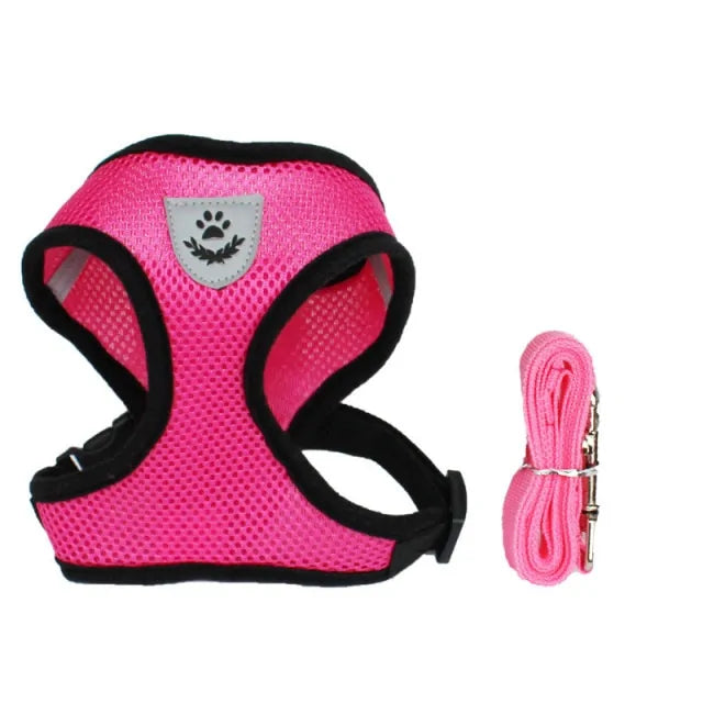 Cat Harness With Leash Set