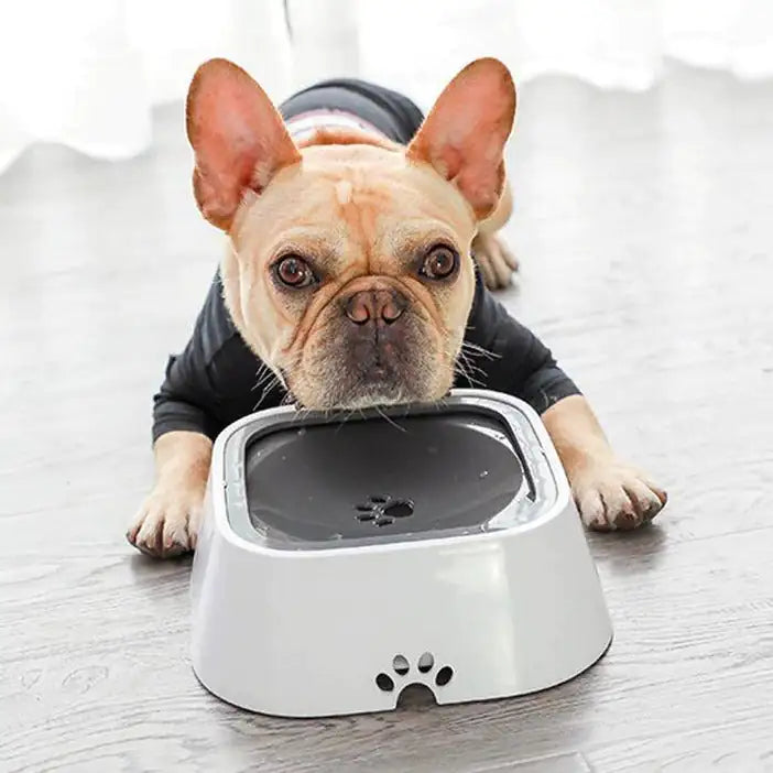 PetWave™ Floating Water Drinker Bowl