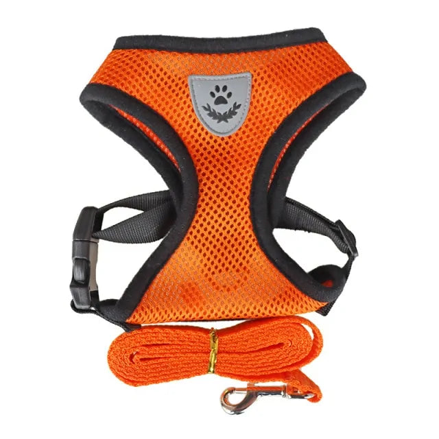 Cat Harness With Leash Set