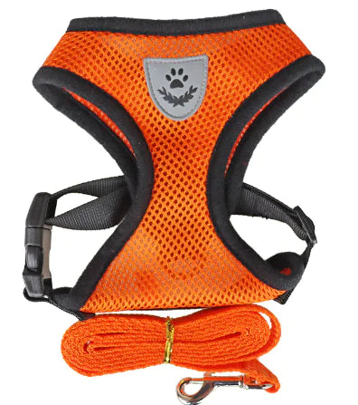 Cat Harness With Leash Set