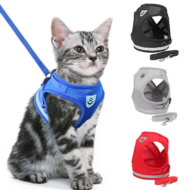 Cat Harness With Leash Set