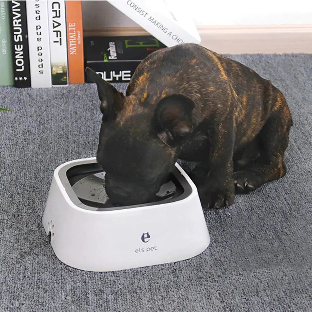 PetWave™ Floating Water Drinker Bowl