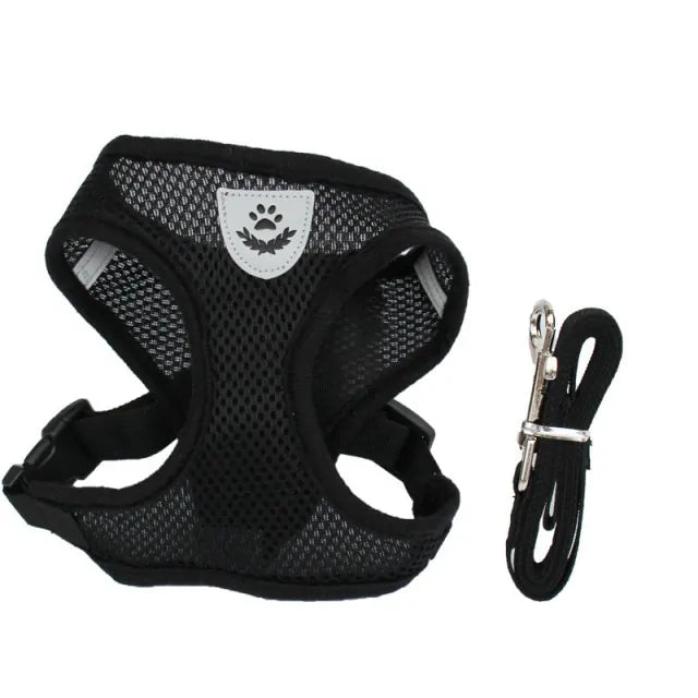 Cat Harness With Leash Set