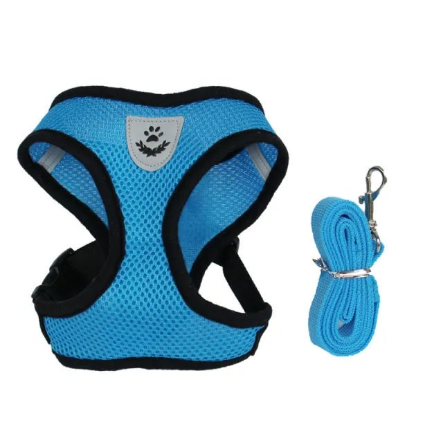 Cat Harness With Leash Set